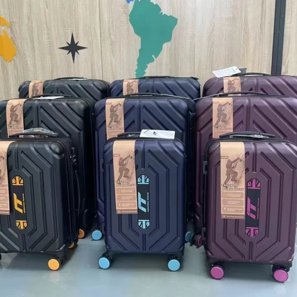 IT LUGGAGE International traveller